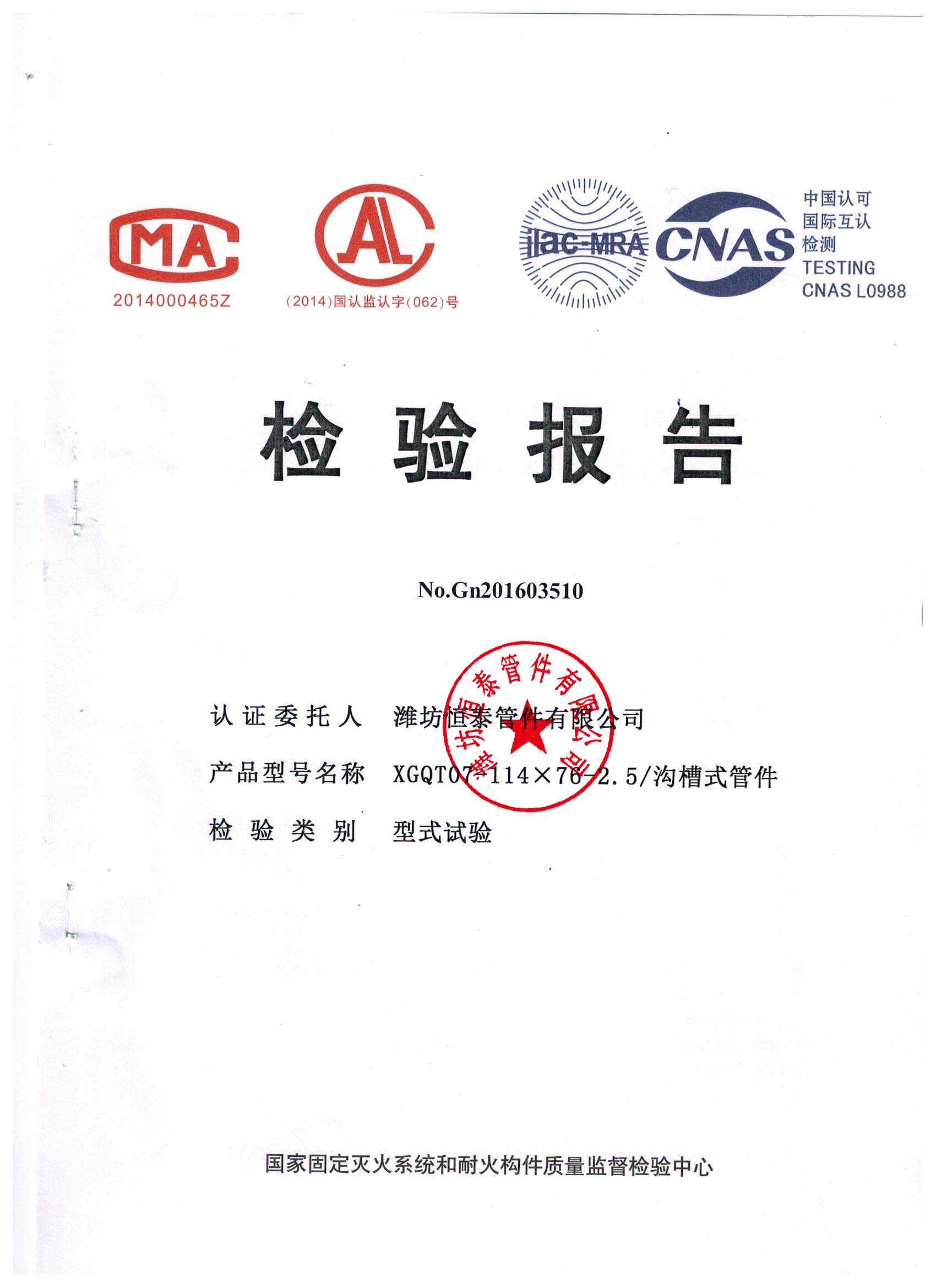 新检验报告大小头